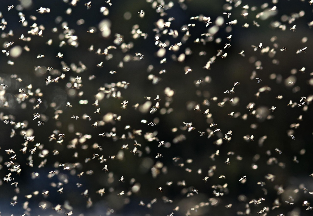 discover how to maximize your marketing roi with proven strategies, tips, and tools. learn to measure, analyze, and improve your marketing investment returns for better business growth.