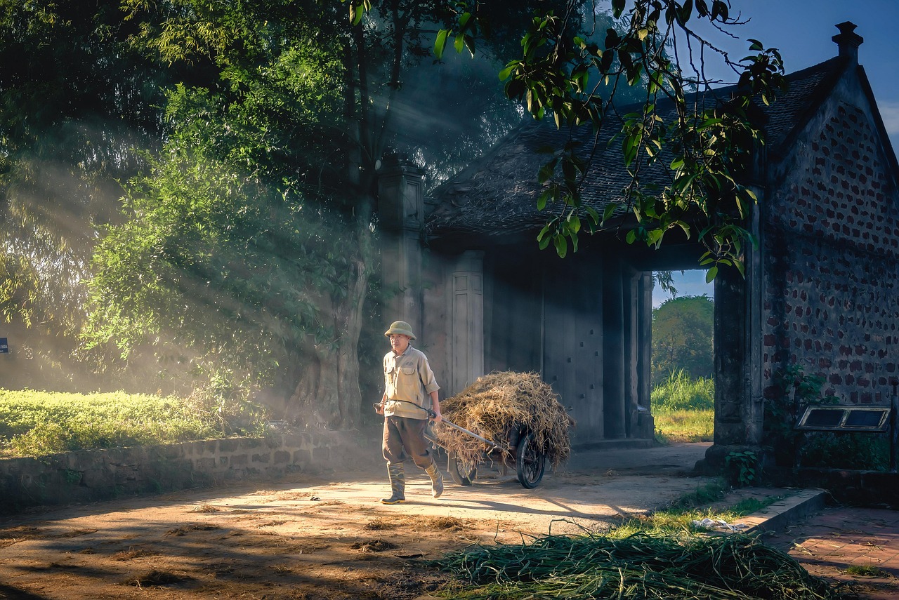 discover effective morning routines to boost your energy, productivity, and overall well-being. start your day right with practical tips and daily habits for a successful morning.