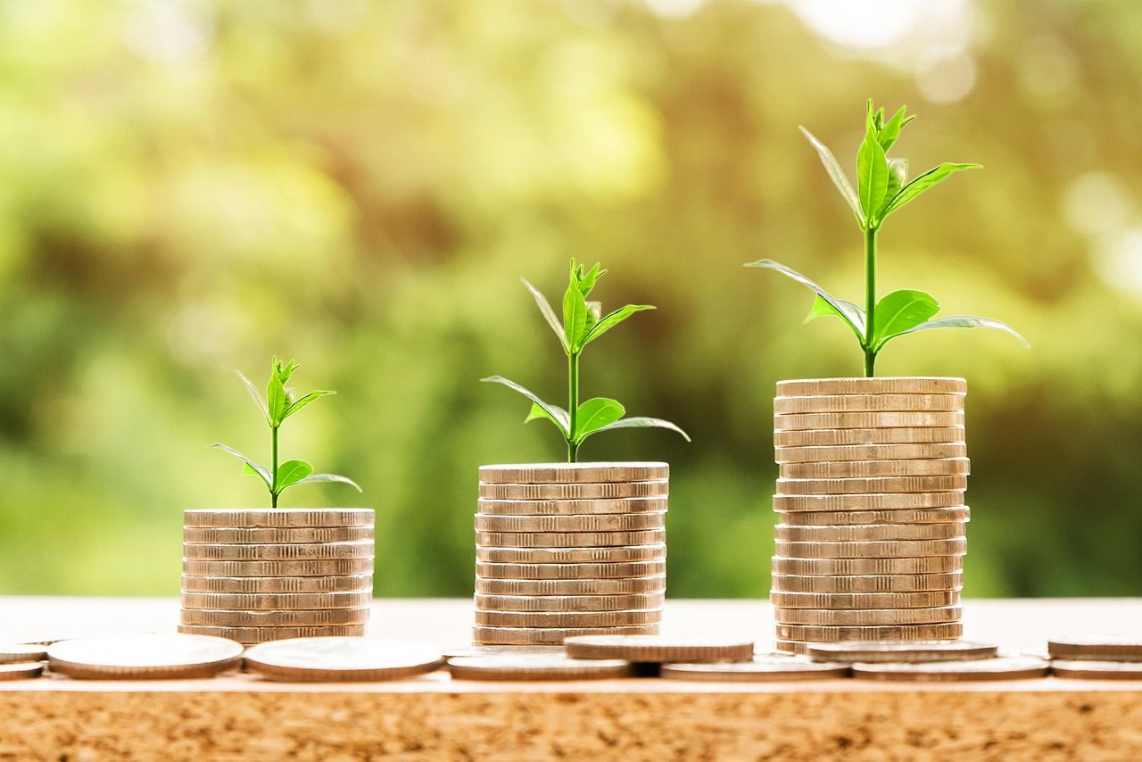 discover essential insights and strategies for successful investment. learn how to grow your wealth, manage risks, and make informed financial decisions with our comprehensive investment guides.