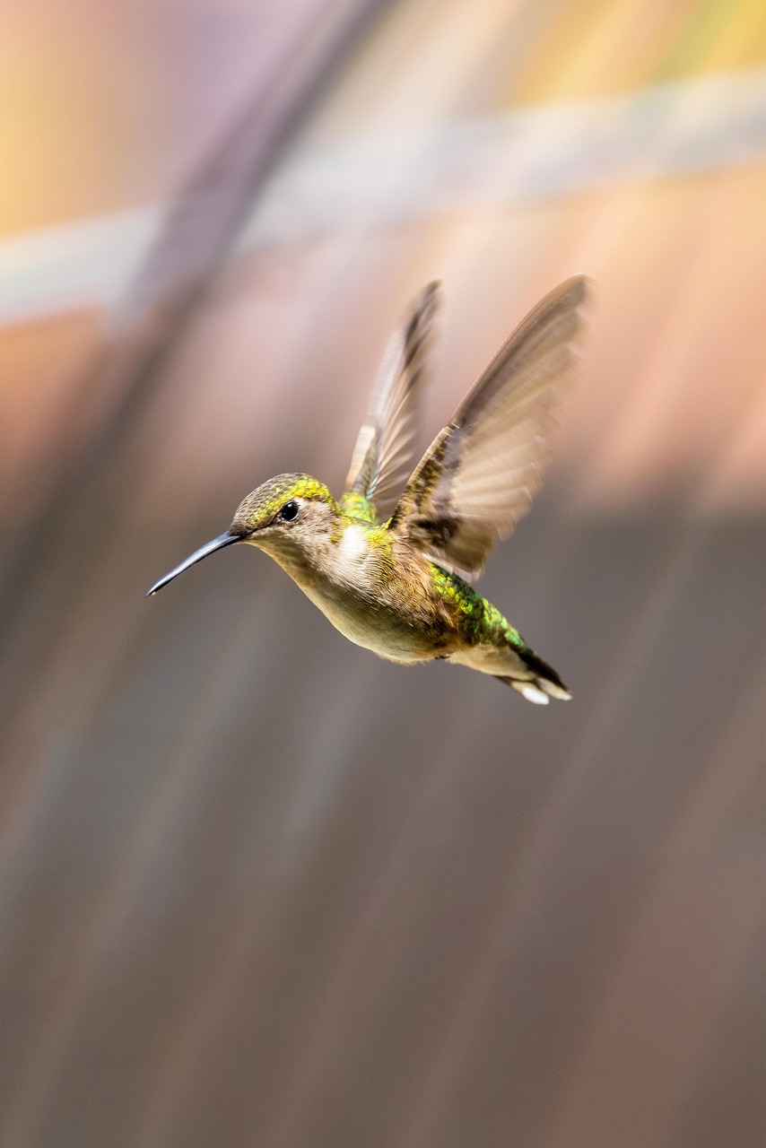 Adapting to Market Disruption with Agile Leadership