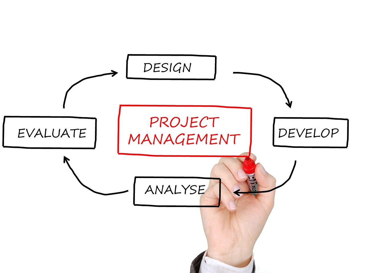 What project management tools work best for small teams?