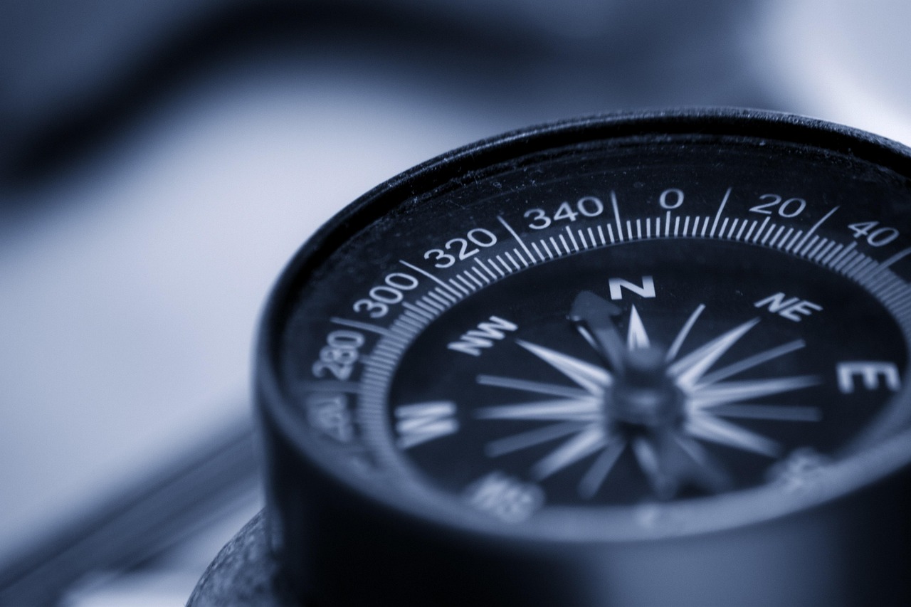 Leadership Strategies for High-Performance Teams